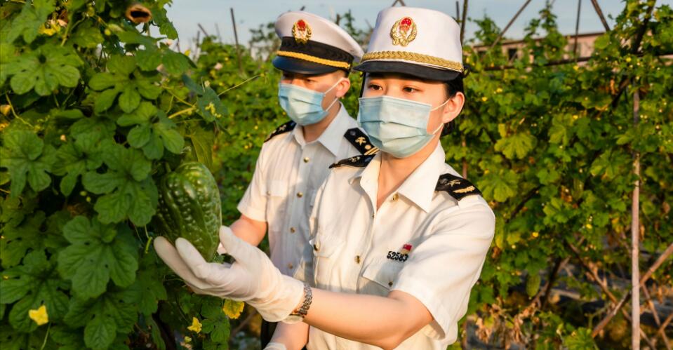 粵港海關攜手推進世界級灣區建設