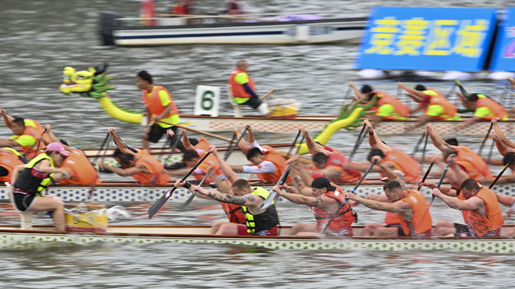 2023粵港澳大灣區（深圳南澳）海上龍舟賽觀賽指南新鮮出爐