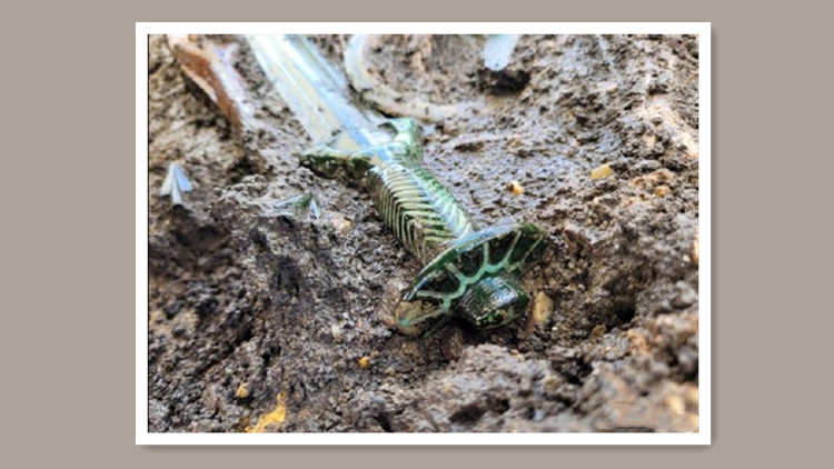 德國發現3000年前青銅劍 出土時還在發光