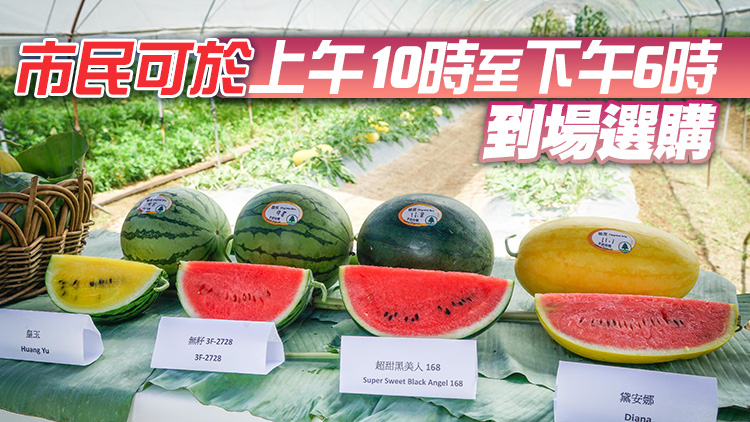 漁護署本月22至25日於青衣城舉辦本地有機西瓜節