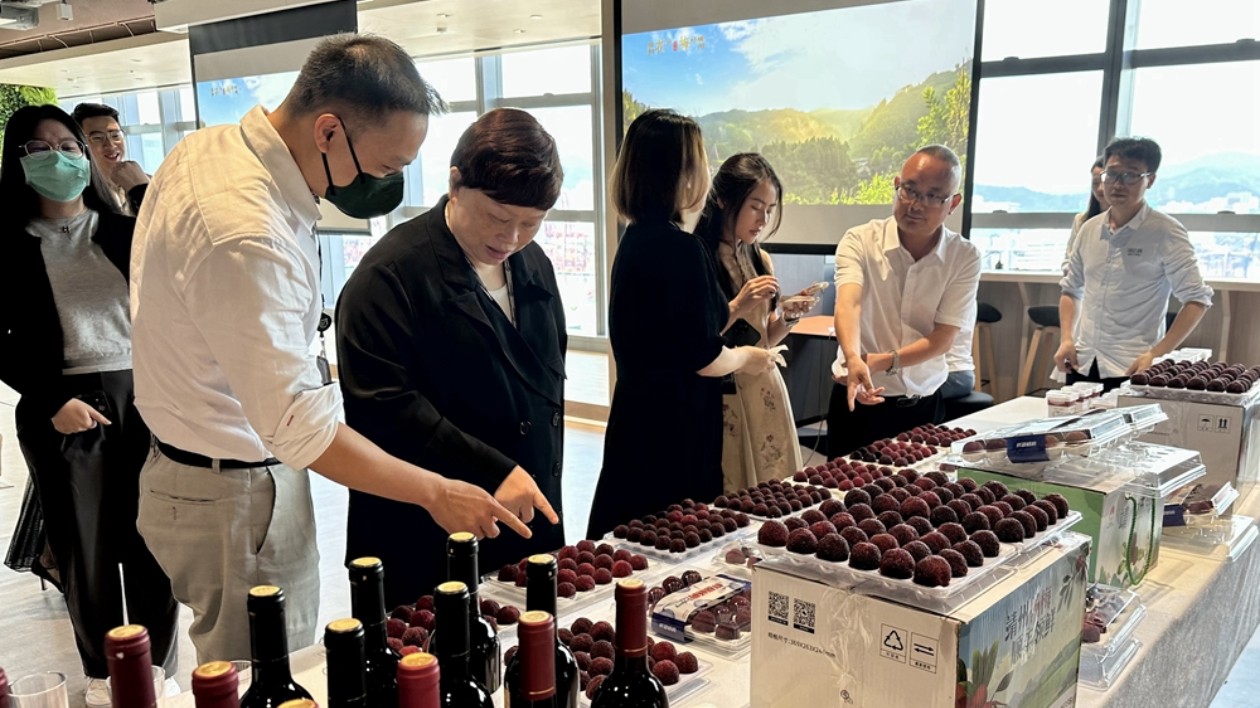 湘品湘造 閃耀世界| 靖州楊梅開通香港專線  粒大味甜受熱捧