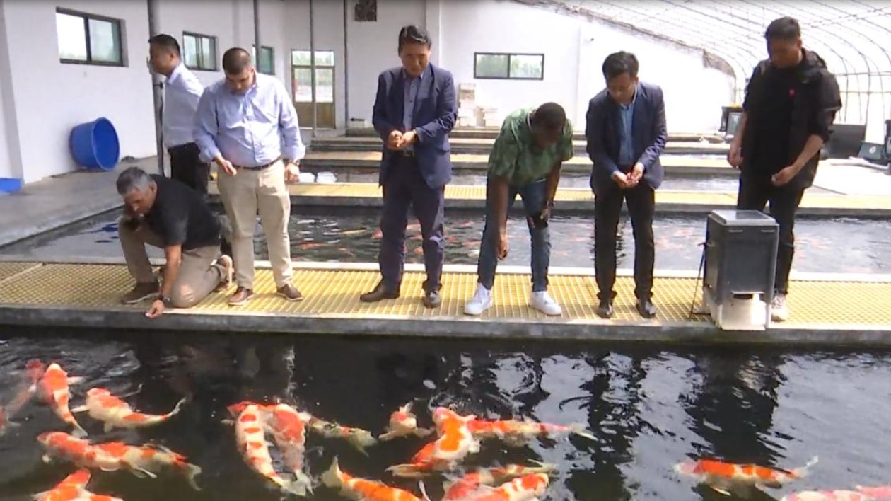 外籍友人打卡美麗鄉村 欣賞山東高唐非遺文化