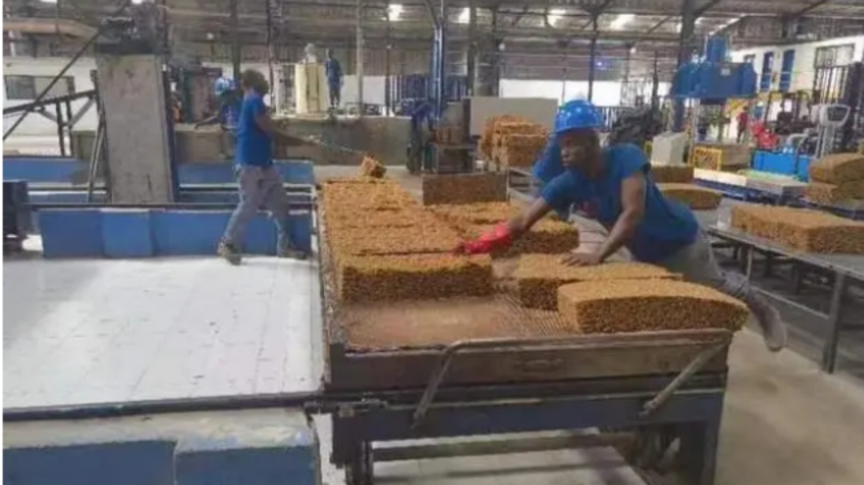 「湘」約非洲｜湖南先導國貿：累計實現對非進出口貿易額20億元