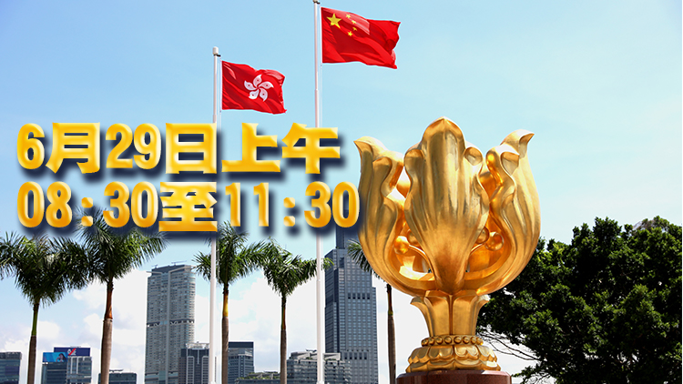 金紫荊廣場周四上午實施特別交通及運輸安排