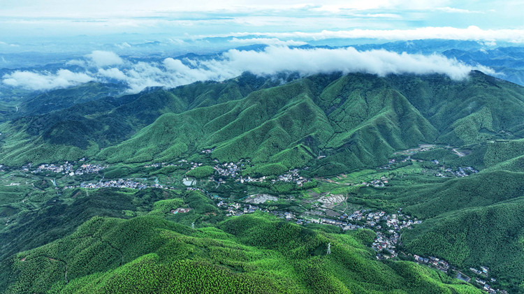 全國人大常委會決定8月15日為全國生態日