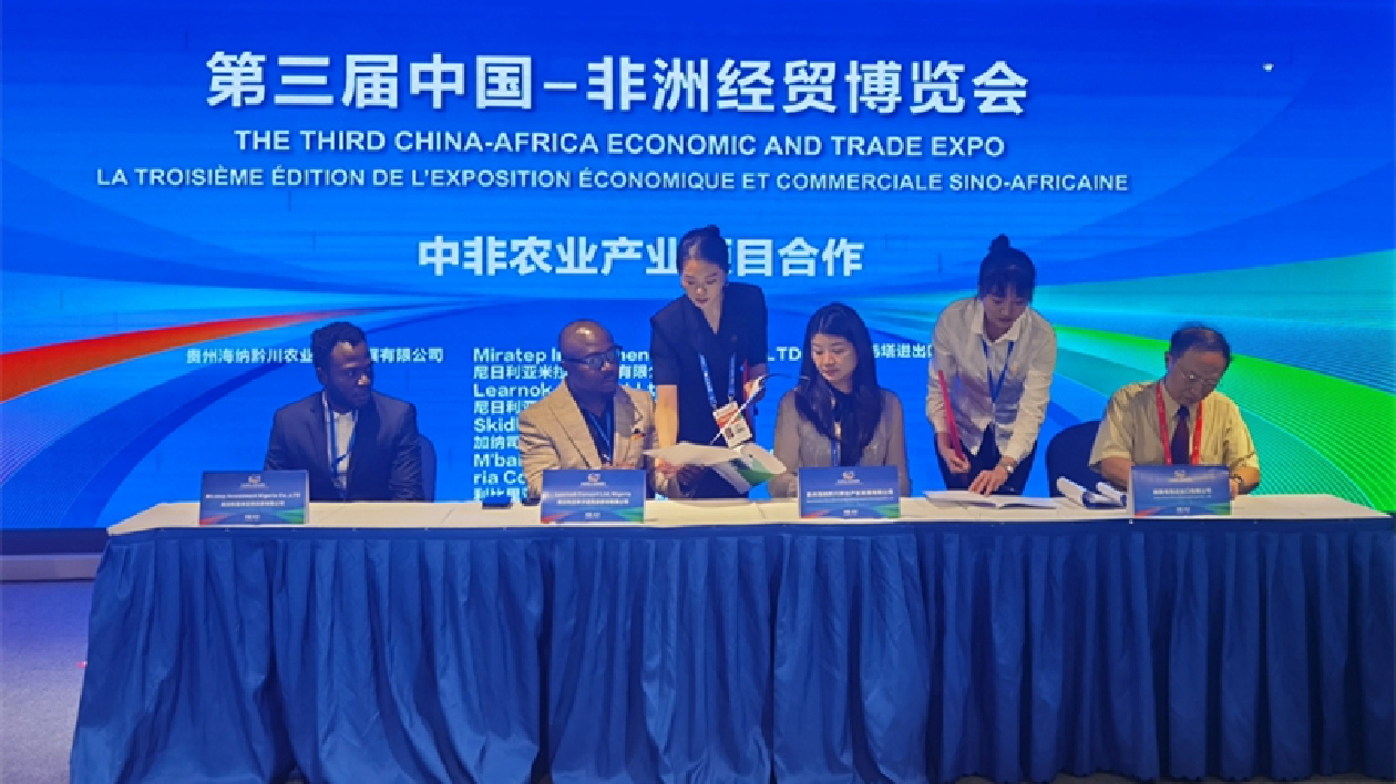 超30億美元！中企與非洲三國達成項目合作協議