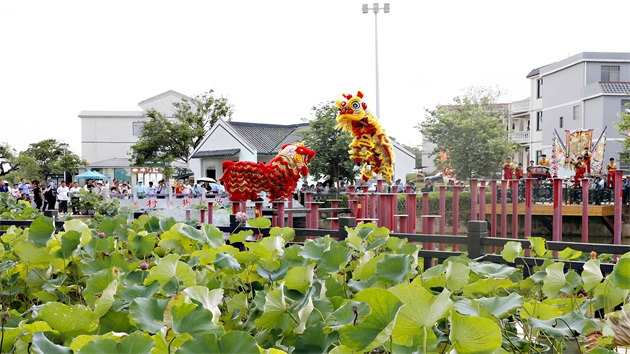 有片|廣西貴港「荷花盛宴」迎遊客 做靚「荷文化」品牌