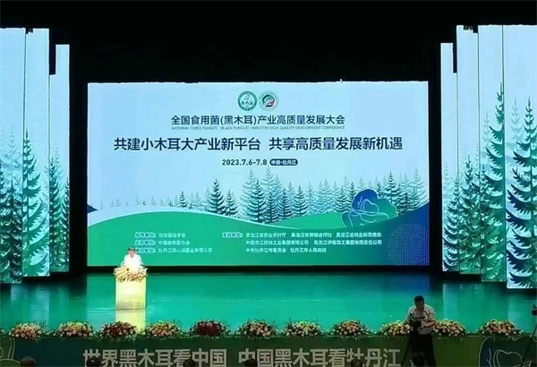 【「雪城」牡丹江 點「菌」成金】系列報道之七