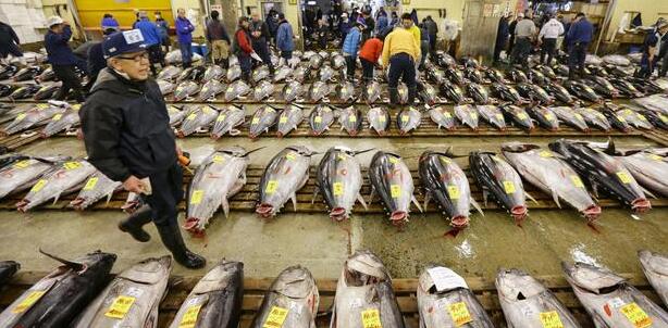 海關總署：禁止進口日本福島等十個縣（都）食品 對日本其他地區水產品嚴格審核