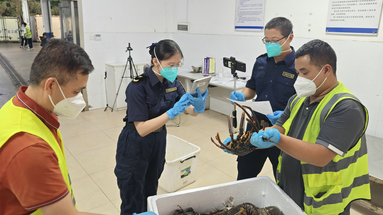 中非農產品貿易持續升溫 全國首批科摩羅進口食用農產品在廣州進境