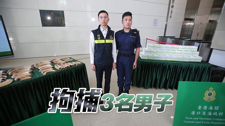 海關偵破走私案 檢河馬牙活龜市值200萬元