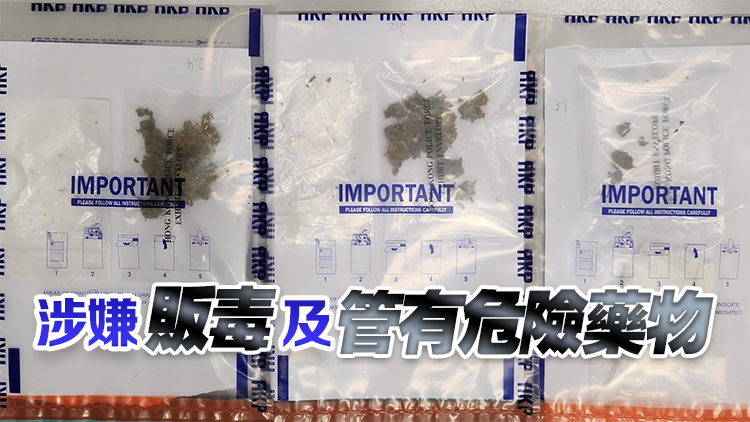 警方灣仔酒吧拘捕外籍男 檢獲7克懷疑大麻市值1700元