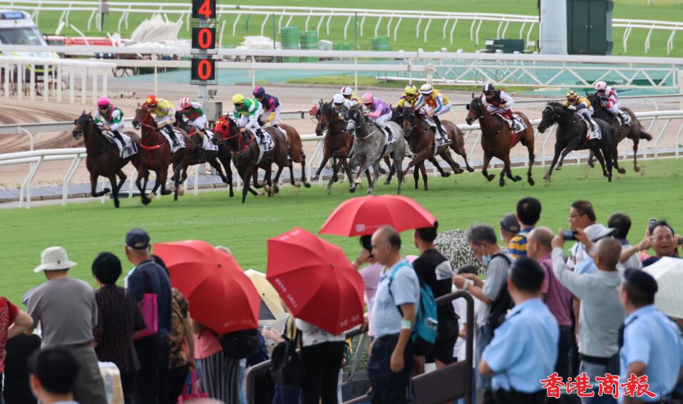 圖集 | 煞科日市民無懼打風到馬場  時晴時雨無減馬迷觀戰熱情