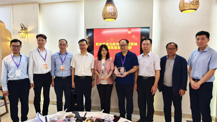 元朗各界社團領袖慶香港回歸26周年 組織交流團赴羅湖及清遠調研考察