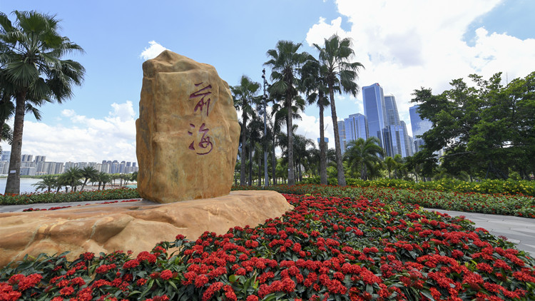 前海獲101項市（區）級行政職權事項授權