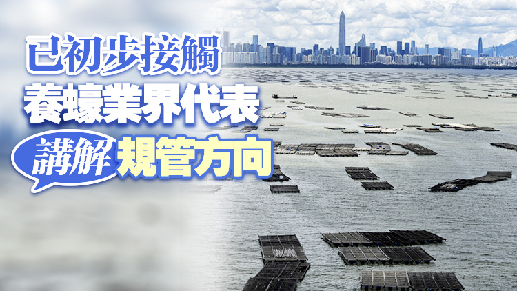 政府加強管理后海灣蠔類養殖活動 區內已完成蠔排凍結調查