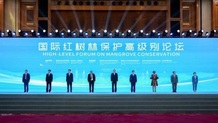 我國首次舉辦國際紅樹林保護高級別論壇