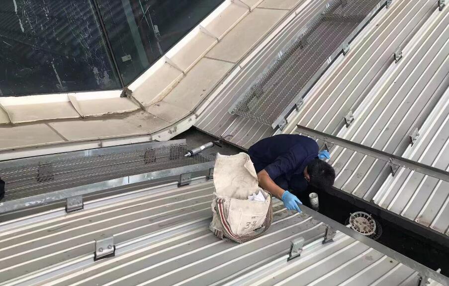 受颱風「杜蘇芮」影響 廣鐵部分列車停運