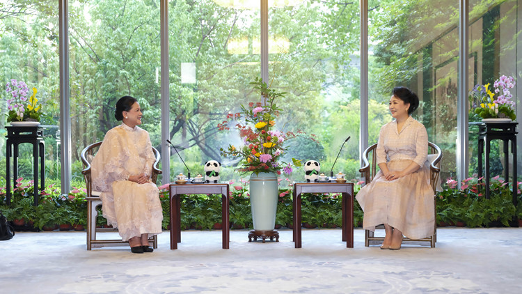 彭麗媛會見印度尼西亞總統夫人伊莉亞娜