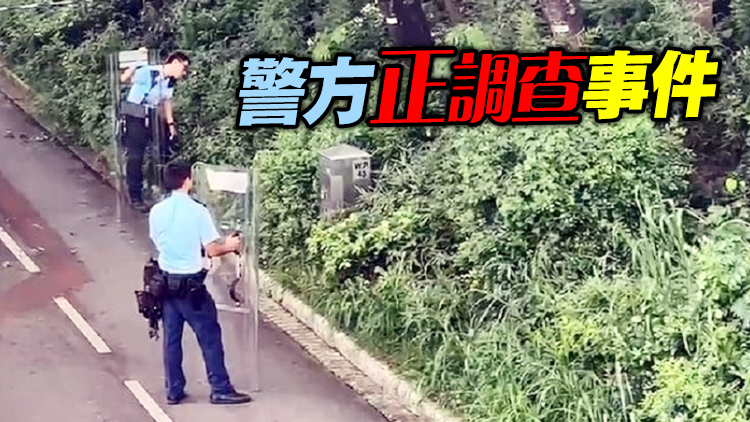 港鐵火炭站野豬出沒 咬傷2男女 警方漁護署圍捕