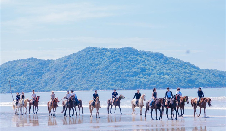 紀念新安縣建縣450周年  追憶同宗同源文脈 香港深圳深汕同鄉會打卡鄉情景點共敘深港情誼