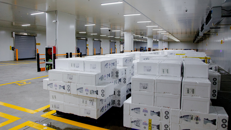 深圳機場進口生鮮冷鏈貨物保障能力三年翻三番 更多進口冰鮮搶「鮮」端上市民餐桌