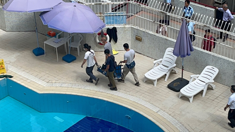 有野豬闖入北角丹拿花園 漁護署人員到場處理