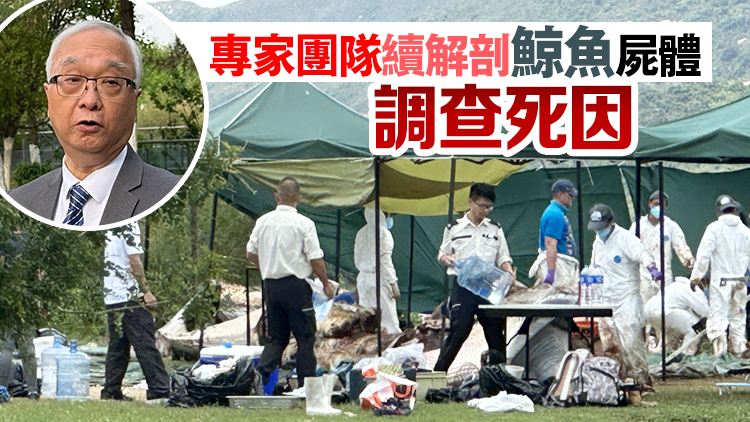 謝展寰到萬宜西壩與專家會面 了解鯨魚屍體解剖工作