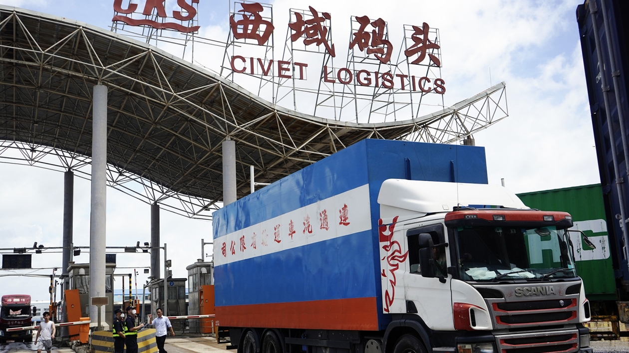 跨境快速通關模式在珠海西域碼頭正式啟用