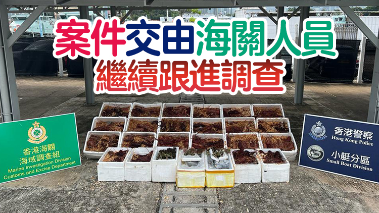 水警海關聯合反走私 檢100萬元龍蝦和珊瑚