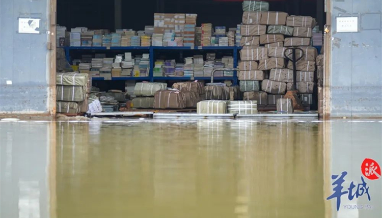 聚焦涿州圖書：「救書」接力賽開啟，圖書保險能否應運而生？