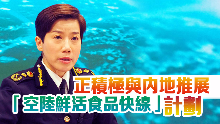 何珮珊：嚴查「軟對抗」物品輸入 推進「智慧海關」建設
