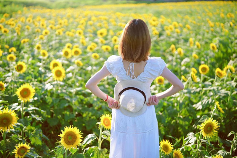 皖屯溪區：「好風景」帶來「好錢景」