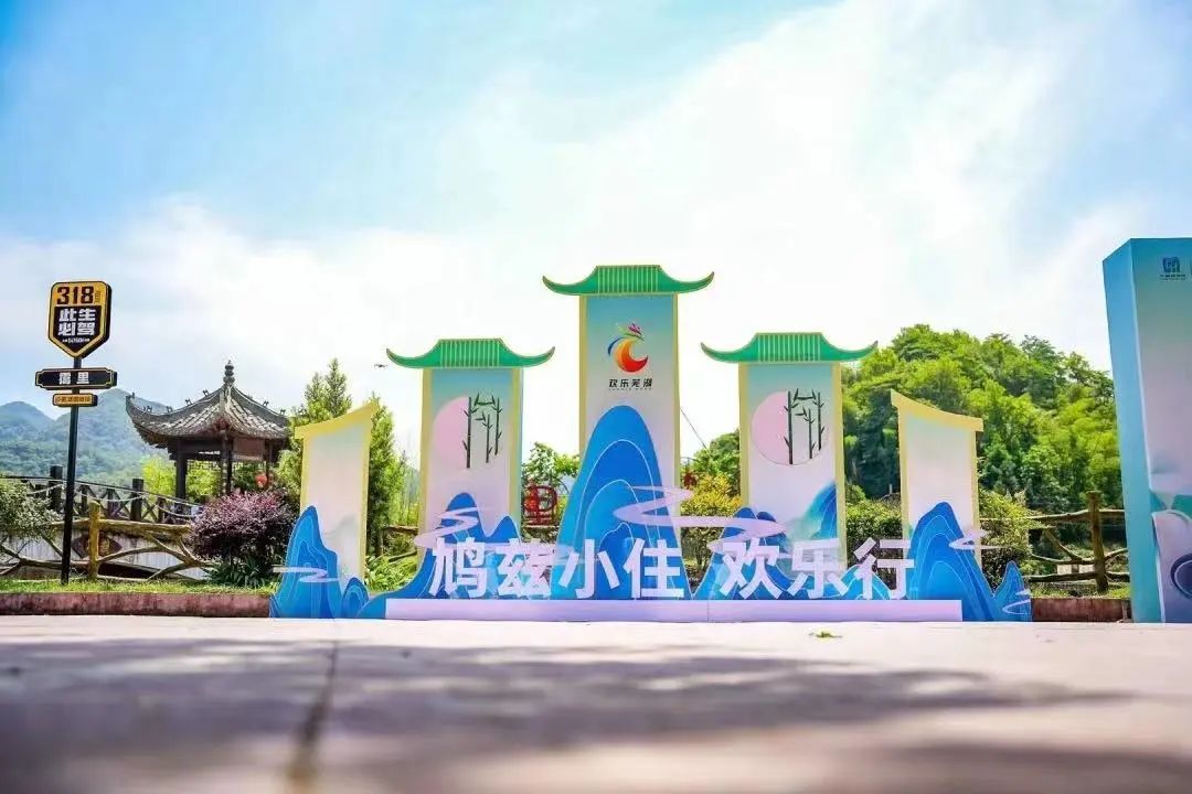 「鳩茲小住」歡樂「蕪」限 半年營收近1600萬元