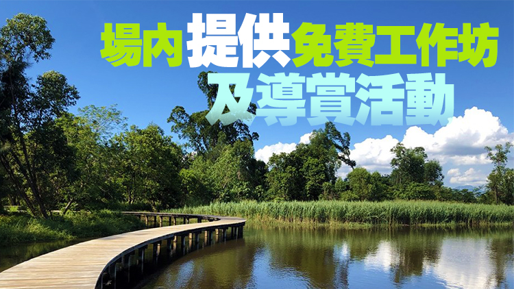 響應全國生態日 香港濕地公園15日免費開放