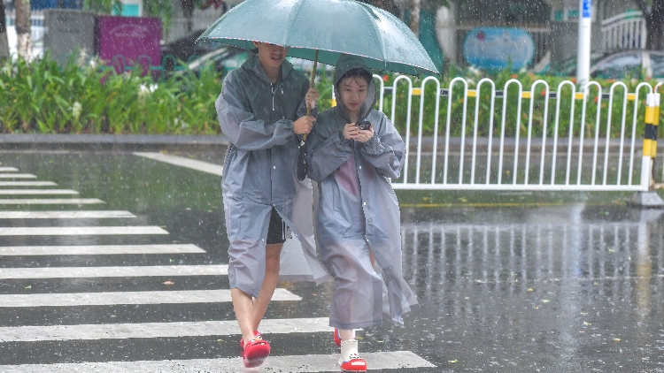 ​廣東將防風應急響應提升至Ⅲ級