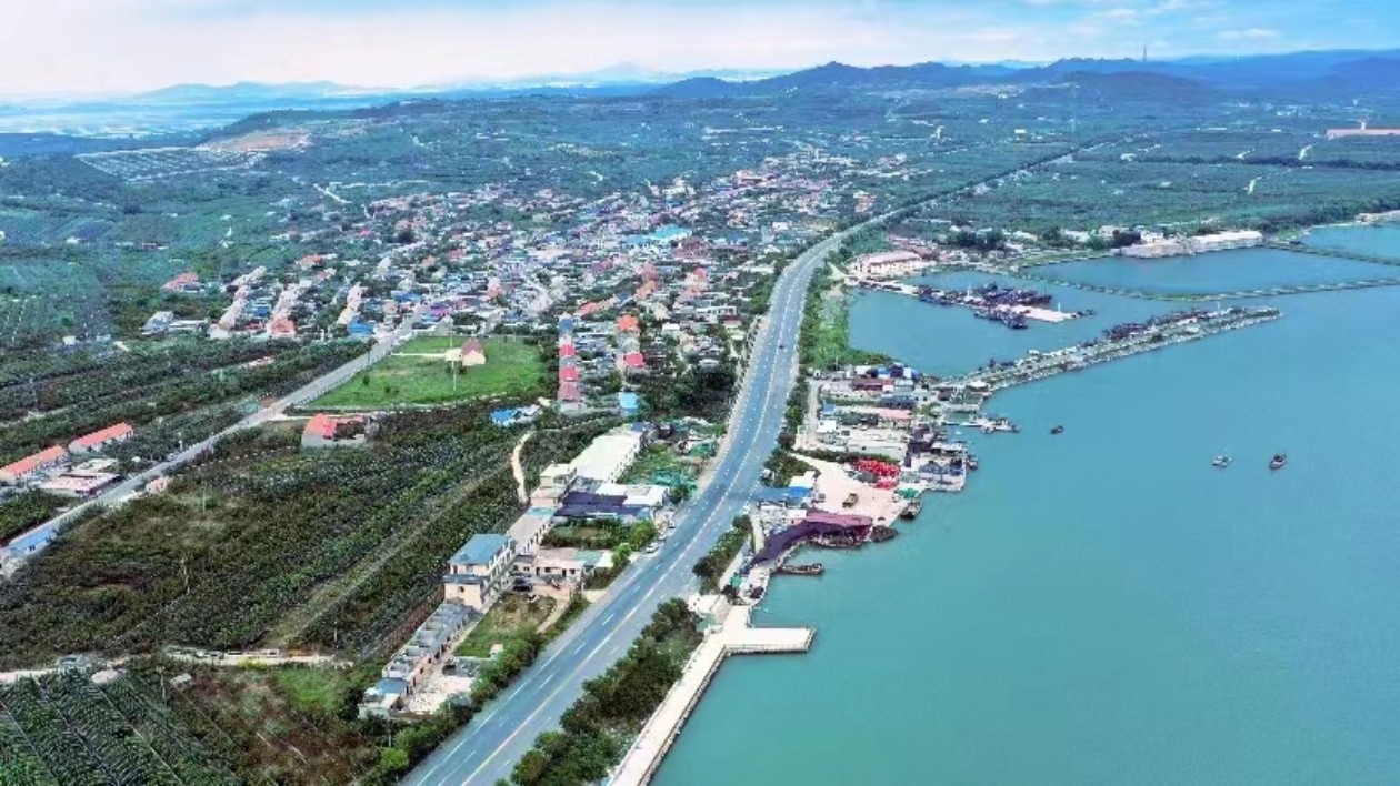 以路為媒、沿路興業  大連金普新區  勾畫鄉村振興新畫卷