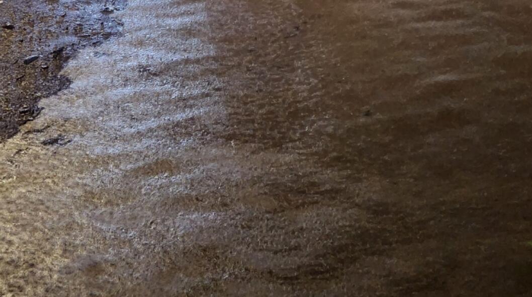 世紀暴雨｜渠務署：新界北部水浸與深圳排洪無關