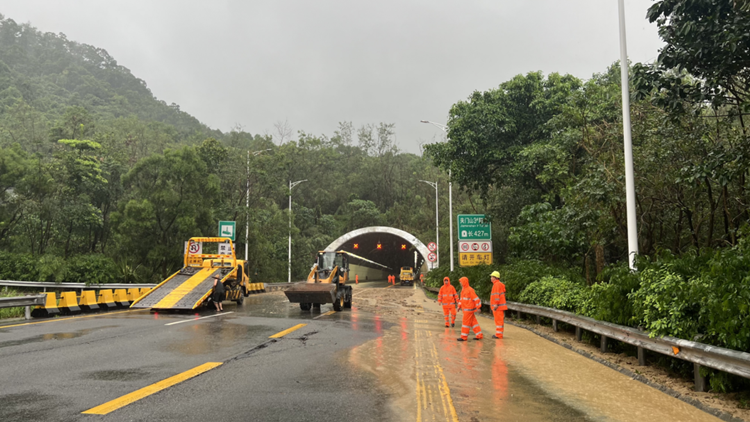 深圳交通逐步有序恢復！