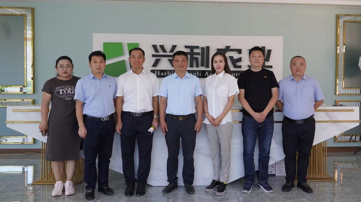 哈市呼蘭區創意設計再發力 「盒子大王」賦能農副產品助力「七彩呼蘭」