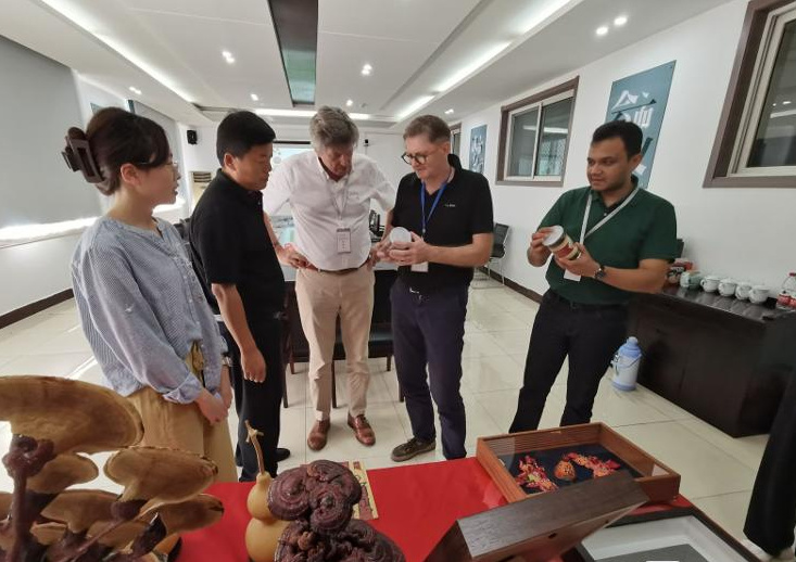 外國友人參觀山東慶雲中商崑崙