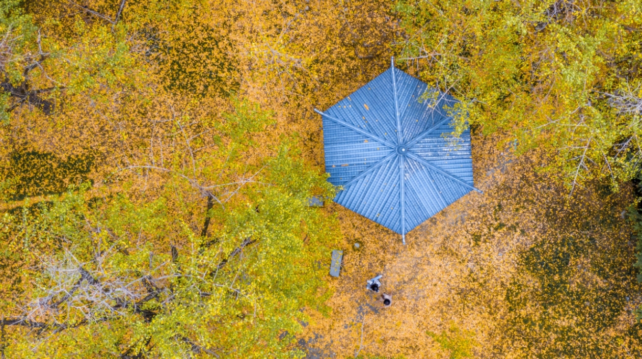有片｜秋遊廣西 美在八桂