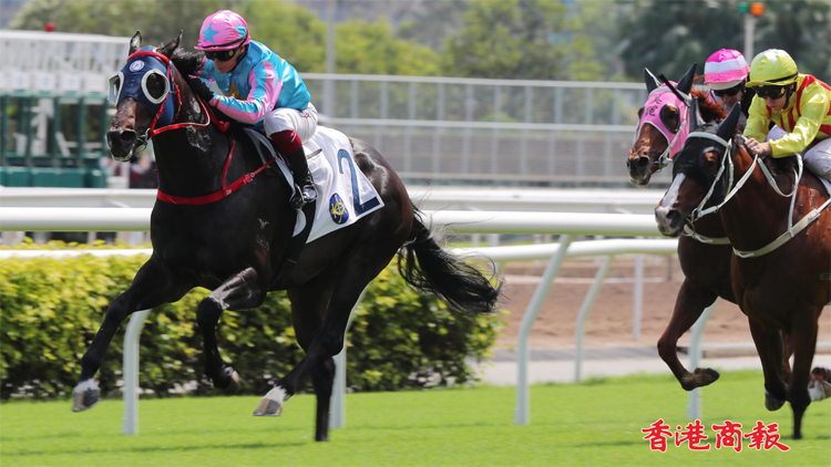 有片 | 【圖集】健康愉快勇奪慶盃 黃腳鱲贏港大校友會盃