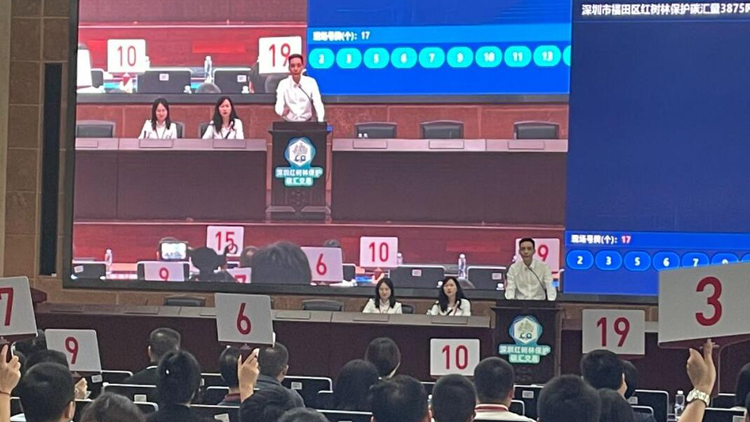 全國首單！深圳紅樹林不僅「吸」碳還可以「賣」碳