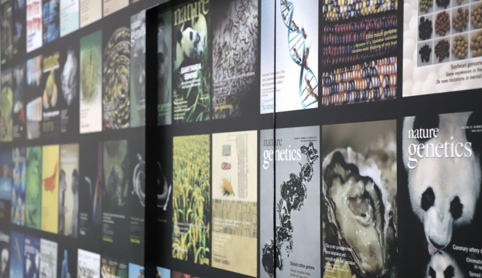 深圳企業獅城追光 躬行實踐講好「深圳故事」