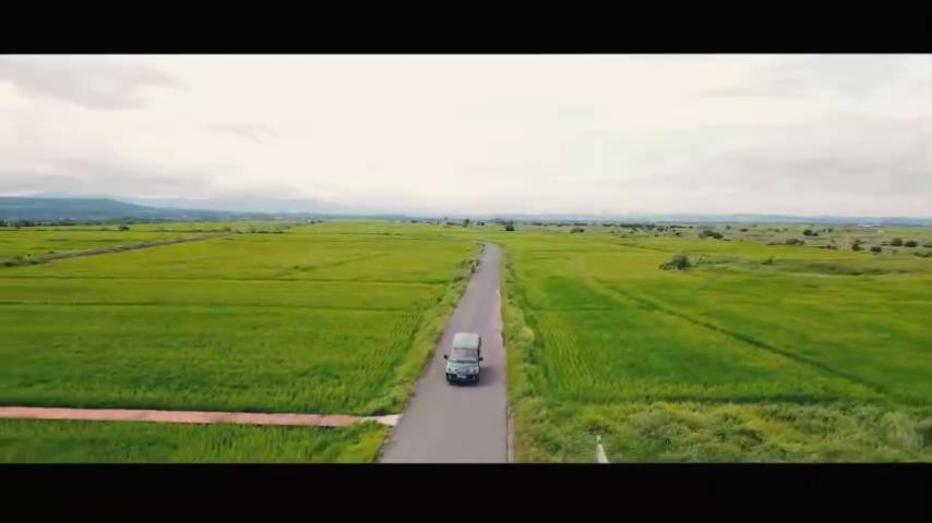 「郵政綠」照亮龍江鄉村振興「惠民路」