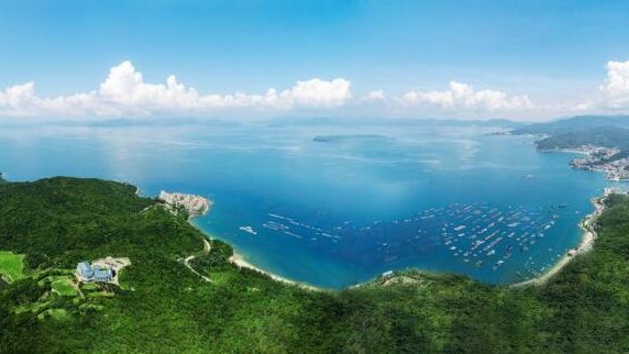 深圳大鵬入選全國第二批「綠水青山就是金山銀山」典型案例