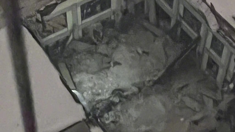 追蹤報道 | 黑龍江樺南縣一體育俱樂部坍塌事故現場完成救援 3人遇難