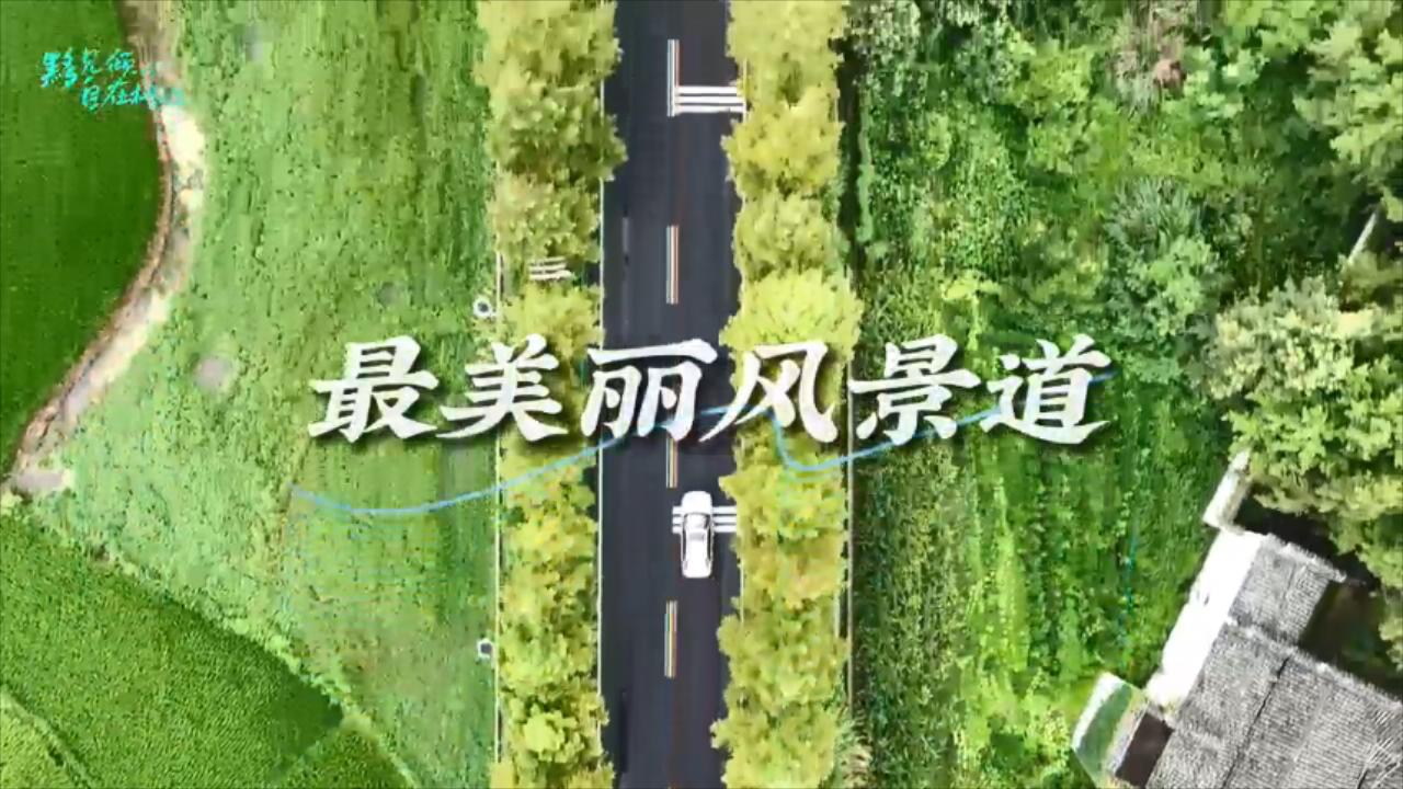 步步有景全域全季 安徽黟縣打造最美麗風景道
