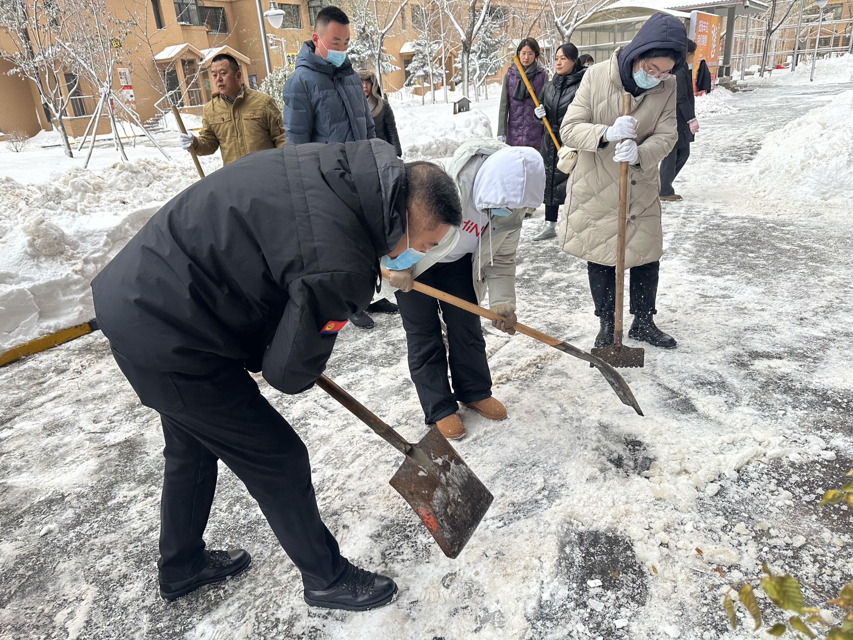 哈市香坊區政法委在職黨員下沉通天街道開展清雪活動